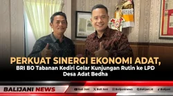 Perkuat Sinergi Ekonomi Adat, BRI BO Tabanan Kediri Gelar Kunjungan Rutin ke LPD Desa Adat Bedha