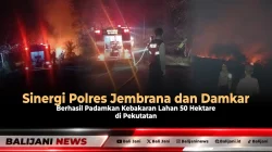 Sinergi Polres Jembrana dan Damkar Berhasil Padamkan Kebakaran Lahan 50 Hektare di Pekutatan