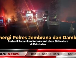 Sinergi Polres Jembrana dan Damkar Berhasil Padamkan Kebakaran Lahan 50 Hektare di Pekutatan