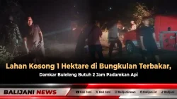 Lahan Kosong 1 Hektare di Bungkulan Terbakar, Damkar Buleleng Butuh 2 Jam Padamkan Api