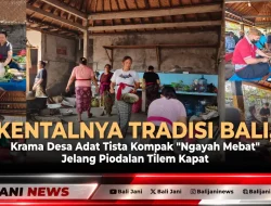 Kentalnya Tradisi Bali, Krama Desa Adat Tista Kompak ‘Ngayah Mebat’ Jelang Piodalan Tilem Kapat